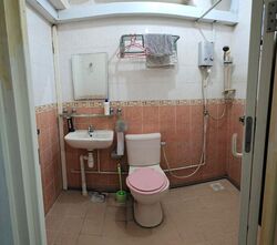 punggol-field photo thumbnail #2